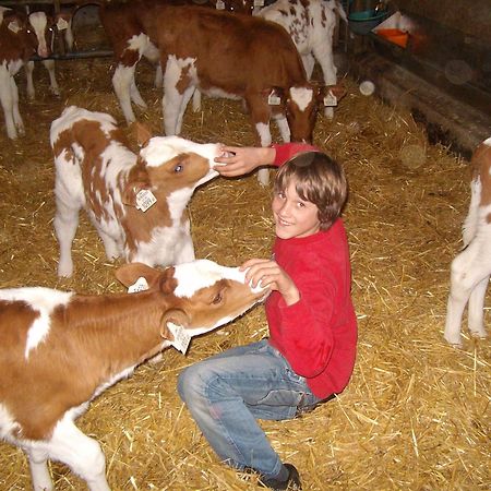 Naturpension Muehlhof Neukirchen am Großvenediger Dış mekan fotoğraf