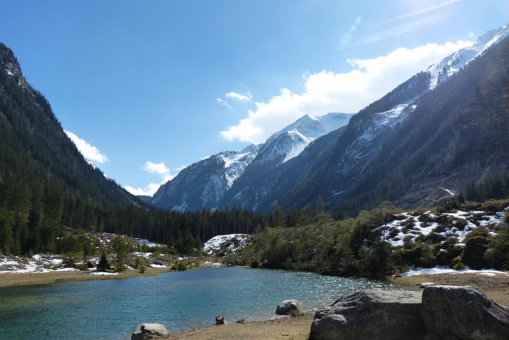 Naturpension Muehlhof Neukirchen am Großvenediger Dış mekan fotoğraf